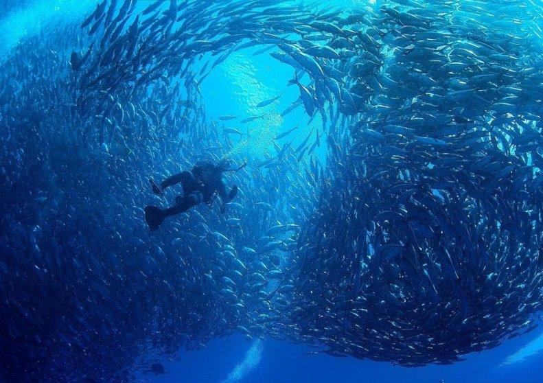 怎样查看自己的手机可不可以使用中国广电的手机卡
